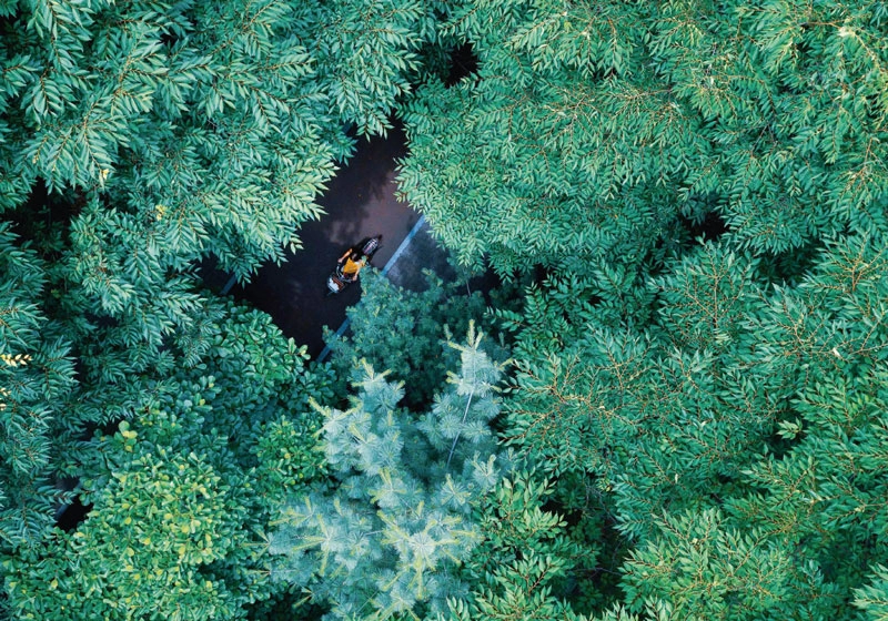 Wald aus der Vogelperspektive